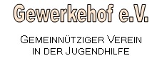 Namensschriftzug plus Zusatz "Gemeinnütziger Verein in der Jugendhilfe"